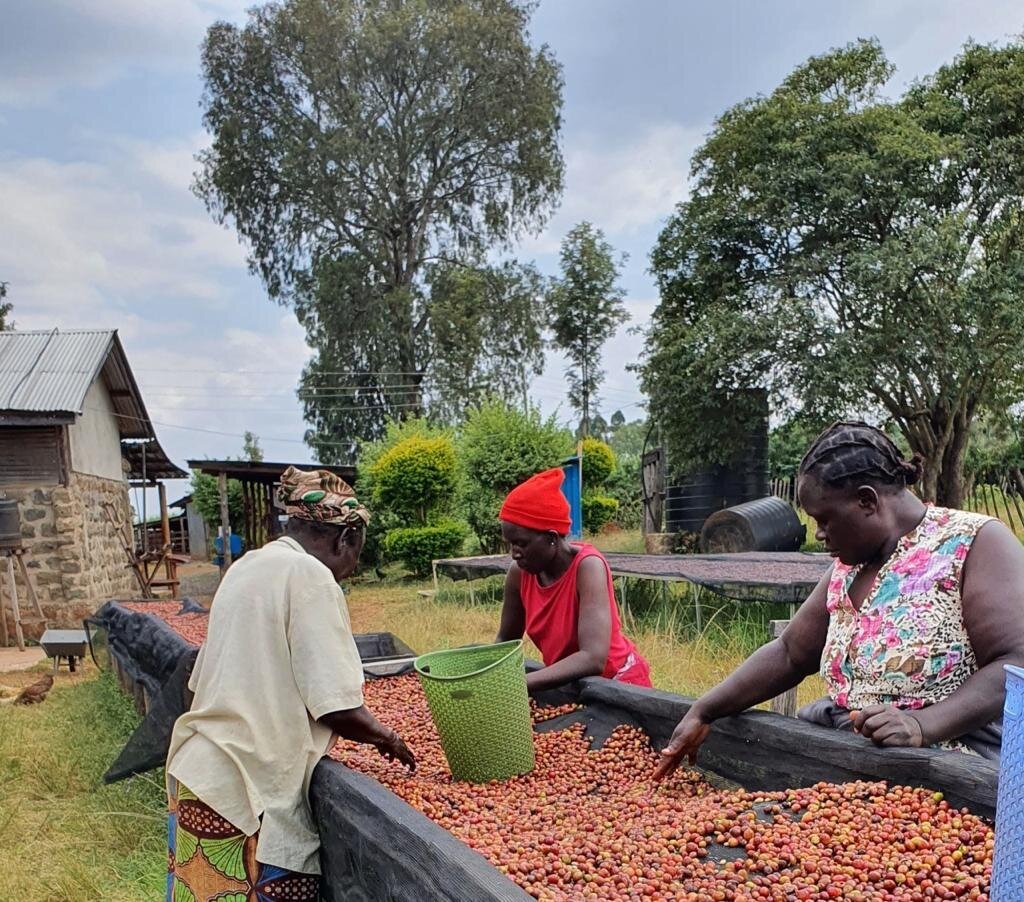 Kenya - Sakami Jane & Gloria