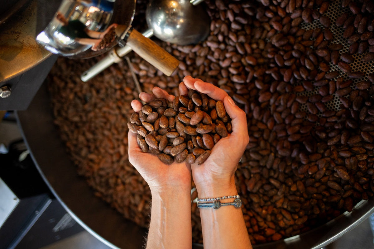 Missing Bean Roasts Its First-Ever Batch of Cacao