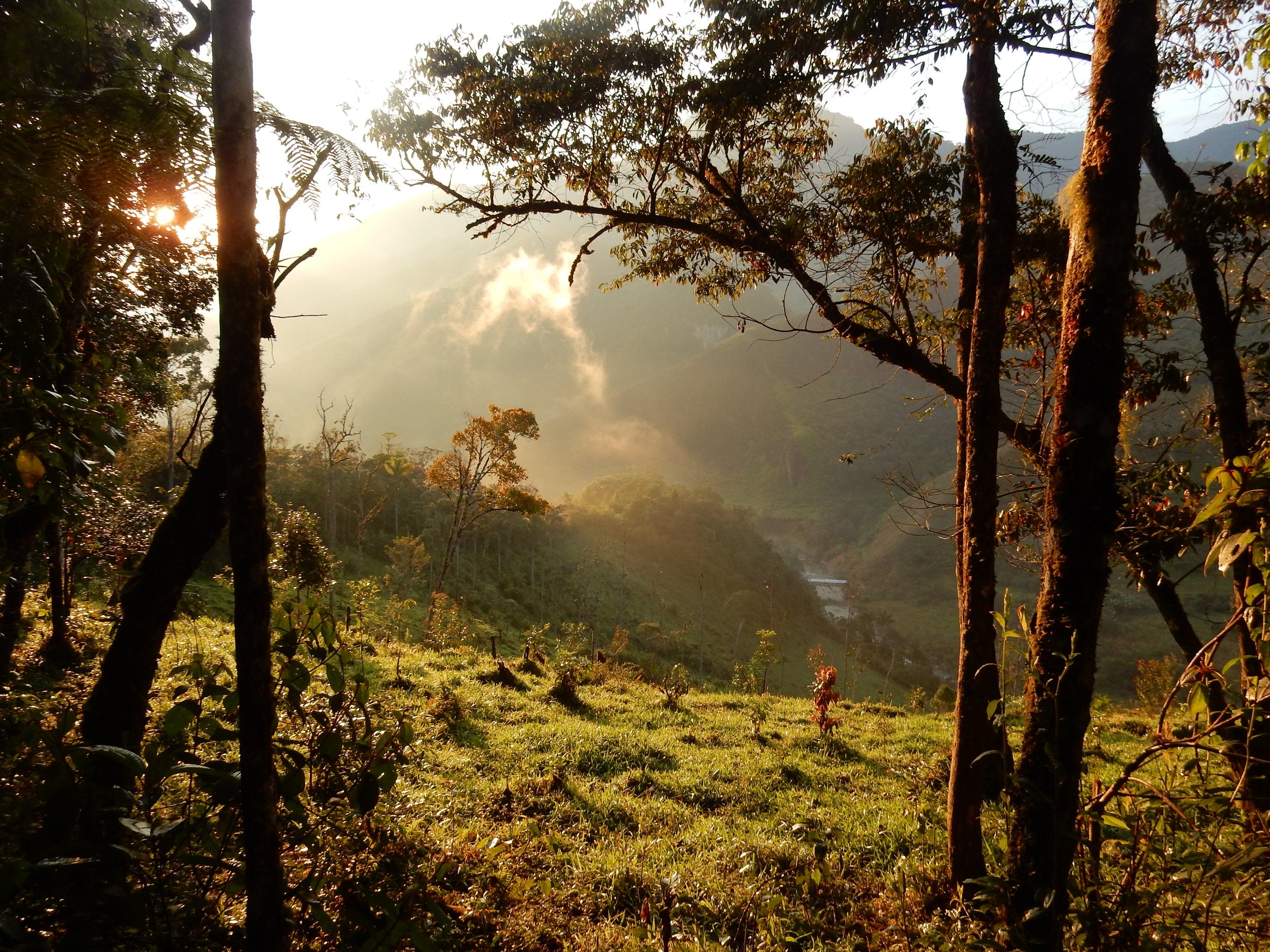 Peru – Chilchos Valley