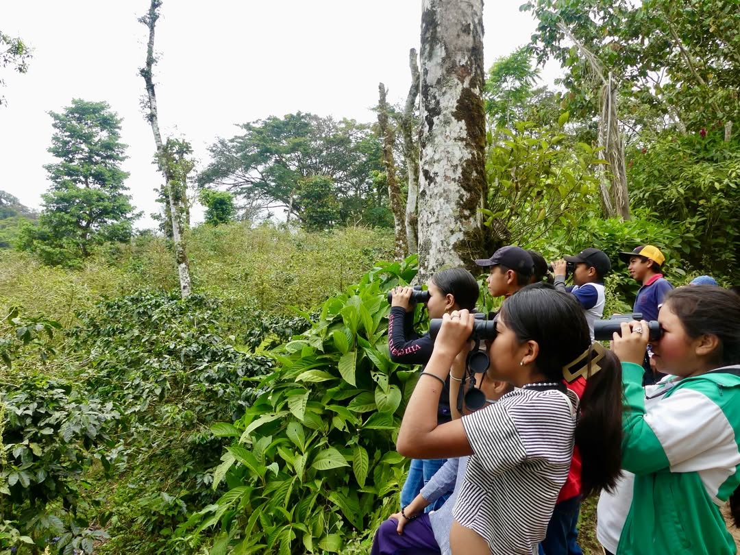 Latte Art Throwdown Raises £2,745 for Nicaraguan Conservation and Education