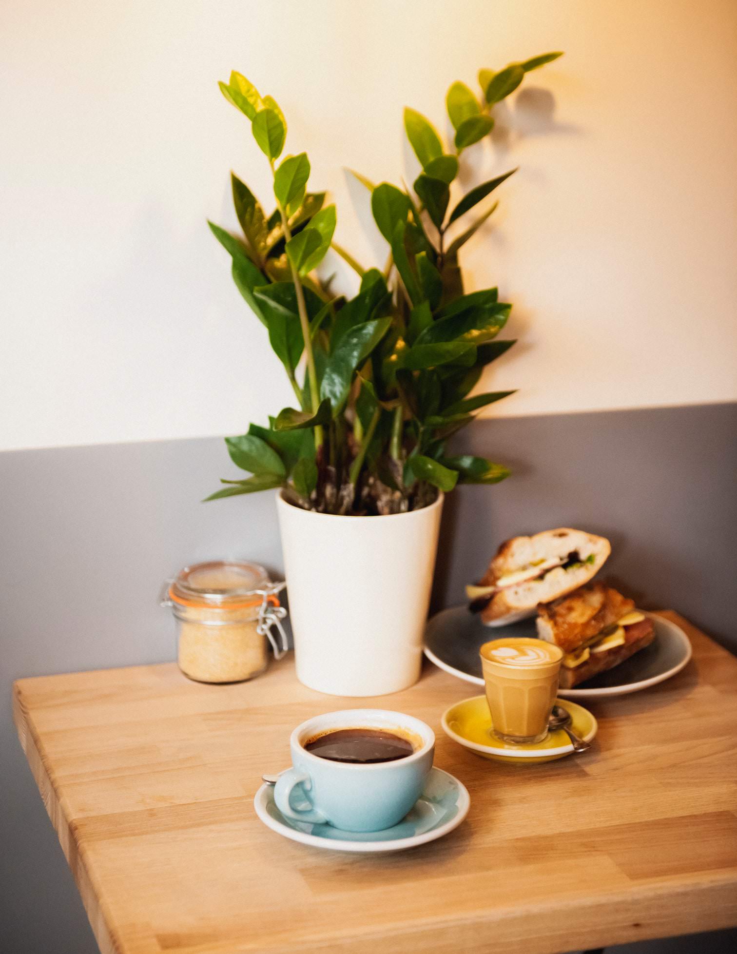 A black coffee in a blue mug an saucer, a flat white in a glass cup on a yellow saucer, a plant in a white pot, and a ciabatta sandwich on a wooden table against a grey and white wall in the Missing Bean Banbury cafe
