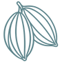 Blue outline of a cocoa pod on a white background
